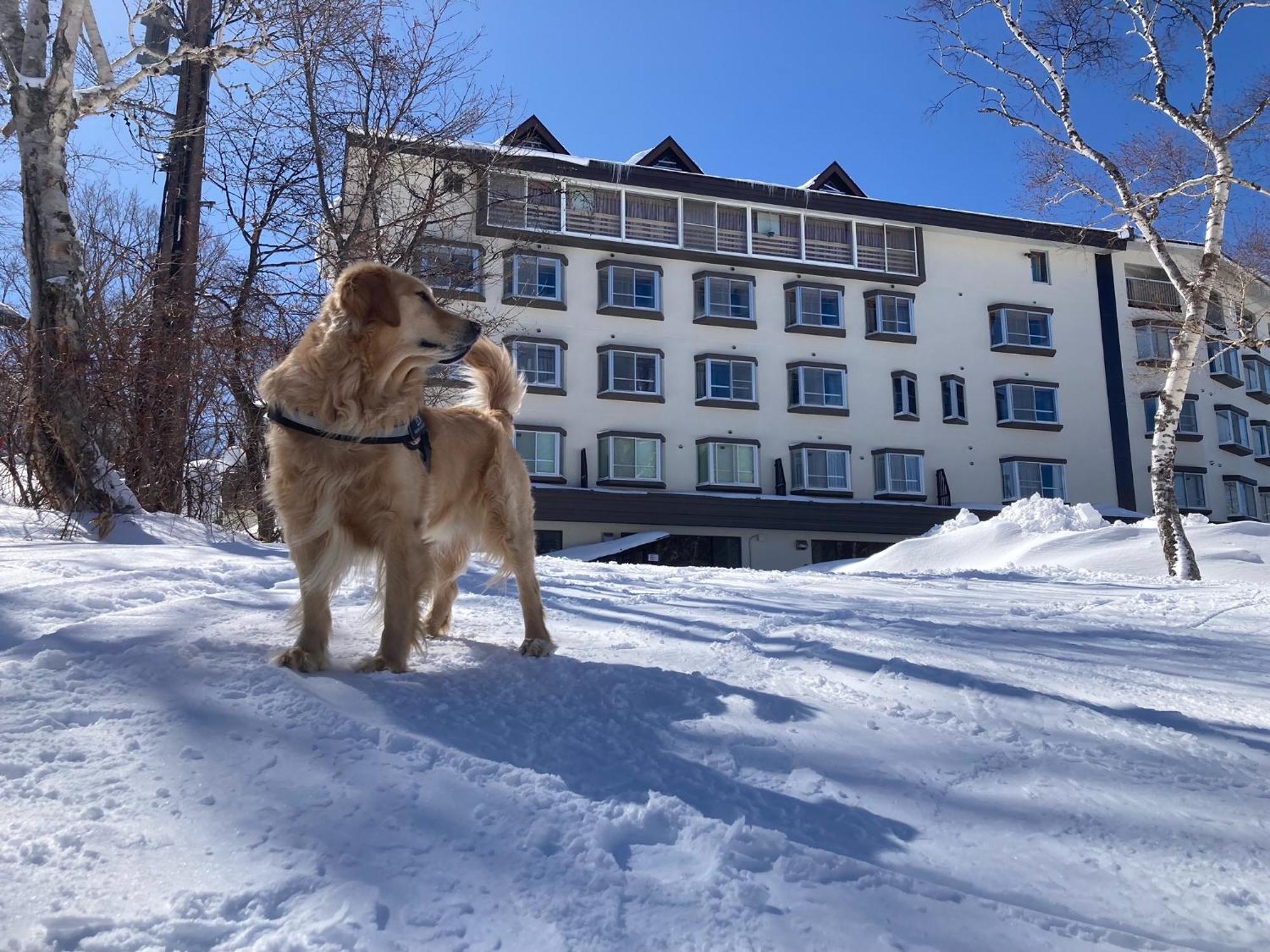 Shiga Lake Hotel Yamanouchi  Esterno foto